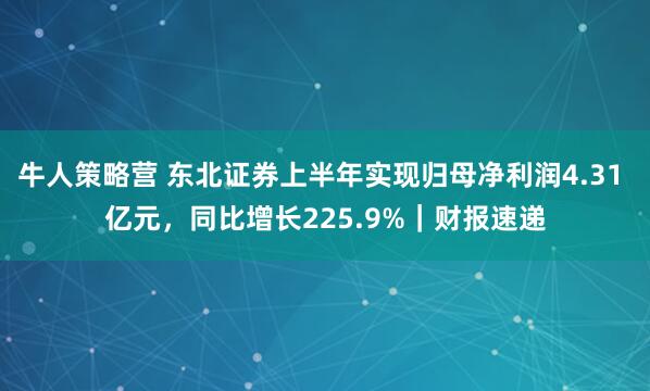 牛人策略营 东北证券上半年实现归母净利润4.31 亿元，同比增长225.9%｜财报速递